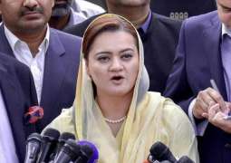 Calling media a mafia by selected, incompetent PM condemnable: Maryam Aurangzeb