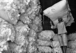 ECC permits import of cotton through Torkham border.