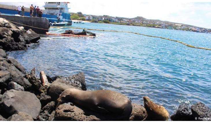 Ecuadorian Authorities Have Galapagos Islands Oil Spill Under Control -  Environment Minister Raul Ledesma