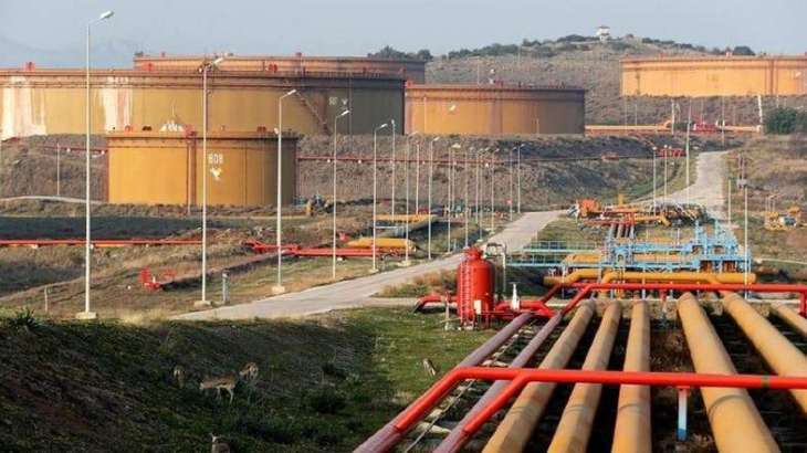 Turkish Wealth Fund to Invest $10Bln in Petrochemical Plant in Country's South - Reports