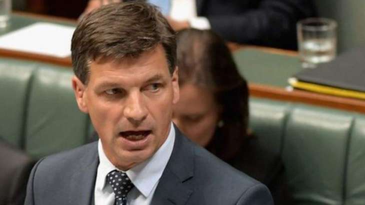 Naomi Wolf accuses Australian MP of lying over Christmas tree story
