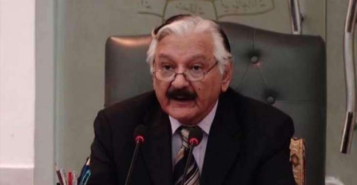 All political sectors will have to contribute in strengthening ECO: Sardar Raza