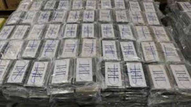 Poland seizes record cocaine haul worth half a billion dollars