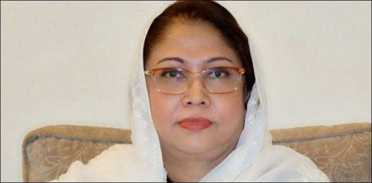 Election Commission of Pakistan (ECP) puts off PTI petition for disqualification of Faryal Talpur