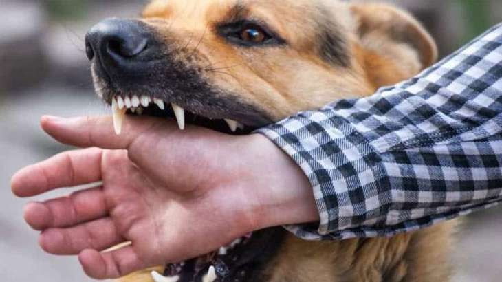 Dog- bite victim dies in Karachi