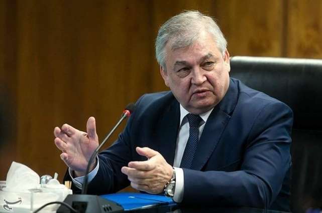 Russian Envoy Says Syrian Constitutional Committee Should Not Be Forced to Speed Up