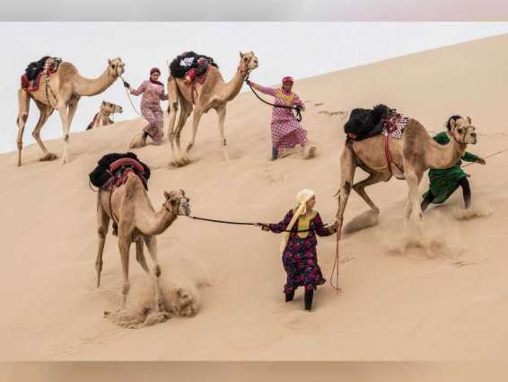 "رحلة الهجن" تكمل 500 كيلومتر على الابل وسط كثبان صحراء الإمارات
