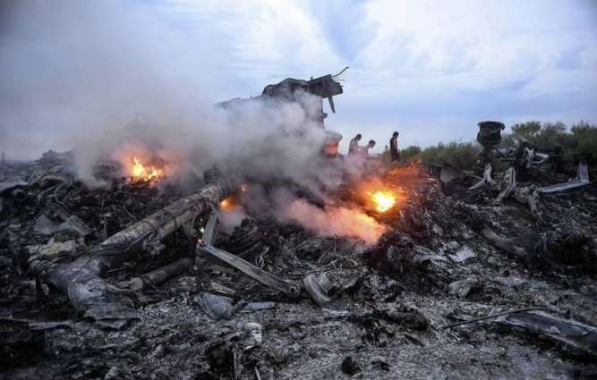 Russia Ready to Provide Netherlands With Information About MH17 Crash - Russia's EU Envoy