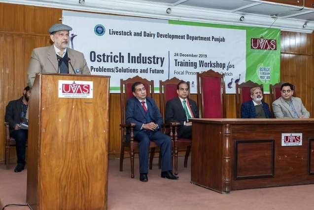 UVAS holds training workshop for focal persons on ‘Ostrich Farming’