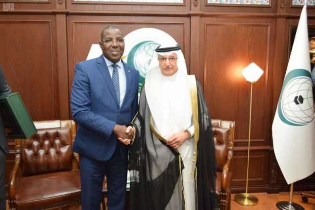 العثيمين يبحث مع وفد النيجر ترتيبات اجتماع مجلس وزراء خارجية منظمة التعاون الإسلامي