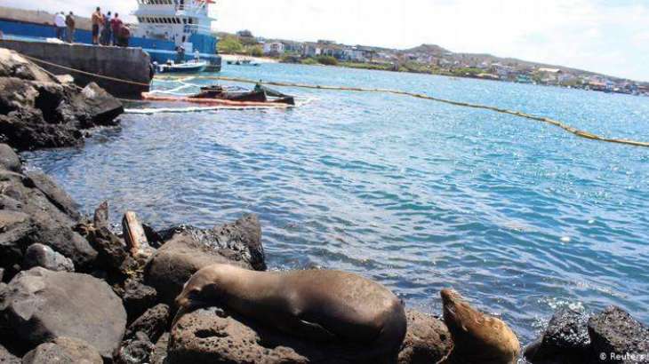 Ecuadorian Authorities Have Galapagos Islands Oil Spill Under Control -  Environment Minister Raul Ledesma