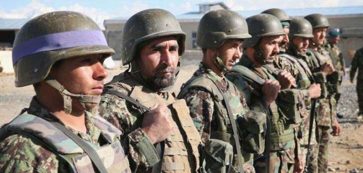 Dozens of Taliban Militants Killed in Operations in Central Afghanistan - Military
