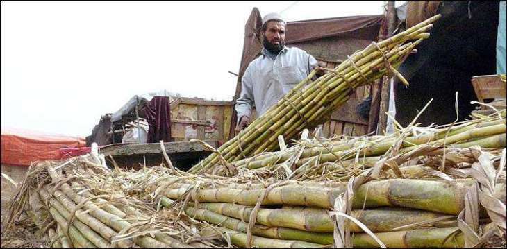 Sugar-mill owners stopped crushing sugarcane across Punjab