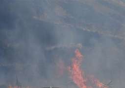 Smoke From Australian Bushfires Reaches New Zealand - Reports
