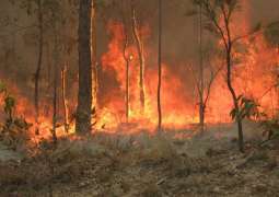 'Significant fears' over 17 missing in Australian bushfires