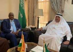 سفير المملكة لدى النيجر يلتقي منسق خلية الأزمات الغذائية