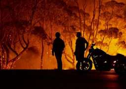 Australia fires: Almost 2,000 homes destroyed in marathon crisis