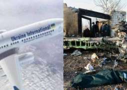 Iran plane crash: Airliner 'was trying to return to airport'