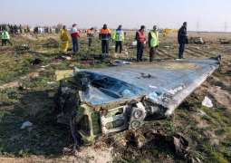 Ukraine Invites UK to Join Iran Plane Crash Probe - Presidency