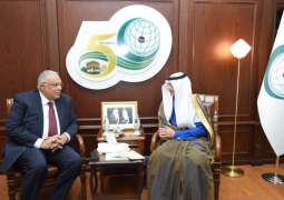 Al-Othaimeen Receives Arab Republic of Egypt’s Assistant Foreign Minister