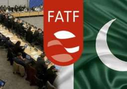 Pakistan to meet FATF's Working Group in Beijing on Jan 20