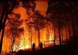 جمعية الإمارات للطبيعة تطلق منصة لجمع التبرعات لمتضرري حرائق الغابات في أستراليا