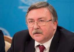 Russian, US Delegations Held Consultations on Strategic Stability in Vienna - Ulyanov
