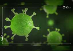 كوريا الجنوبية تعلن عن ثاني إصابة مؤكدة بفيروس كورونا الجديد