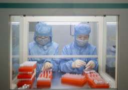 Coronavirus Genome Helping Russia Develop Fast Detection Tests - Russian Consulate