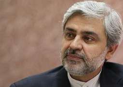 Pakistan's role for regional peace is crucial: Iranian Envoy