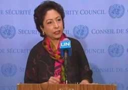 Had US accepted  Pakistan plea it would not have fought war in Afghanistan for 29 years: Maleeha Lodhi