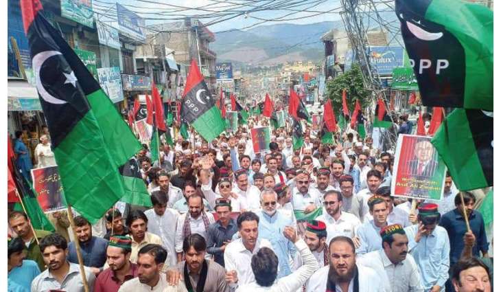 Pakistan People Party (PPP) suggests name of Irfan Qadir for chief C EC  slot