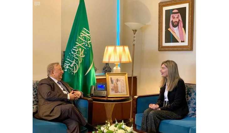 السفير المعلمي يلتقي مندوبة جمهورية ‫اليونان لدى الأمم المتحدة