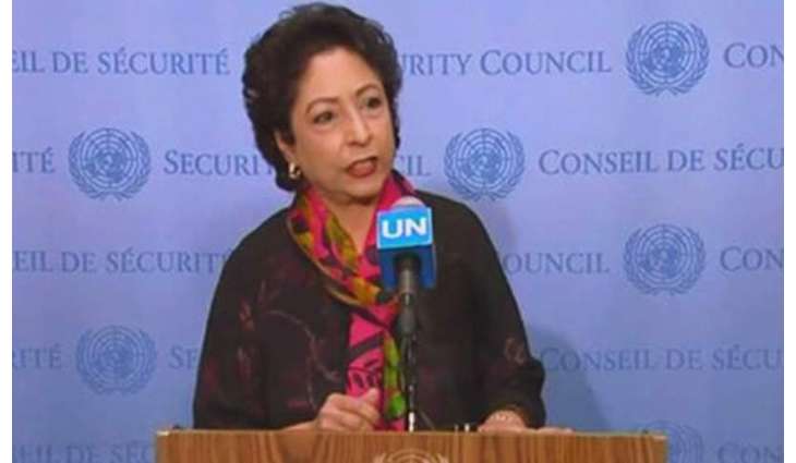 Had US accepted  Pakistan plea it would not have fought war in Afghanistan for 29 years: Maleeha Lodhi
