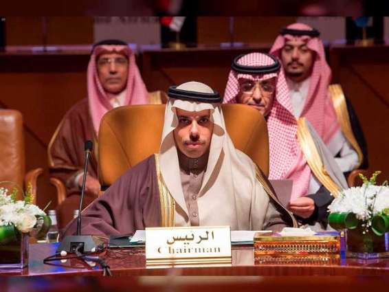 Riyadh hosts Red Sea, Gulf of Aden states council charter signing