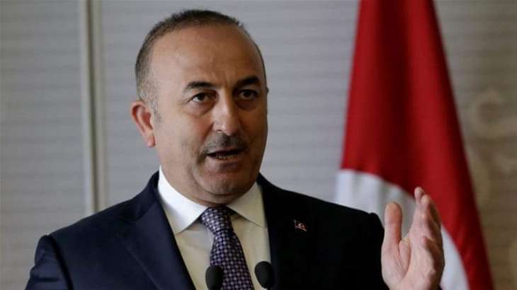 Turkey to Continue Efforts to Ensure Ceasefire, Peace in Libya - Cavusoglu