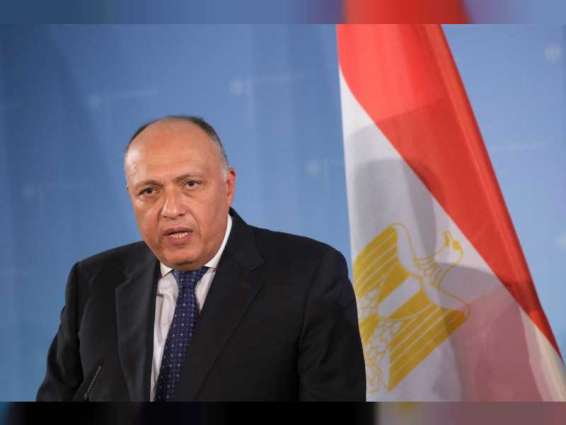 مصر تؤكد لليونان وإيطاليا خطورة الإعلان التركي بدء إرسال قوات لليبيا على مؤتمر برلين