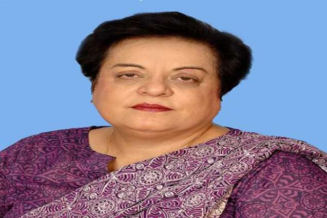 Shireen Mazari submitted report in Islamabad High Court 