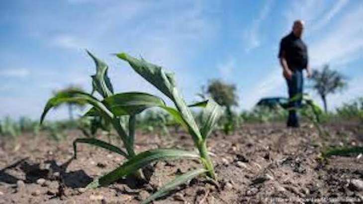 Agriculture sector recovery efforts hailed