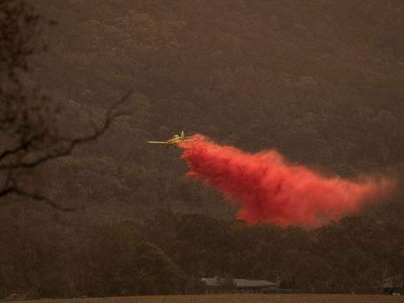 Australian Capital Territory Declares State of Alert Due to Bushfires - Chief Minister