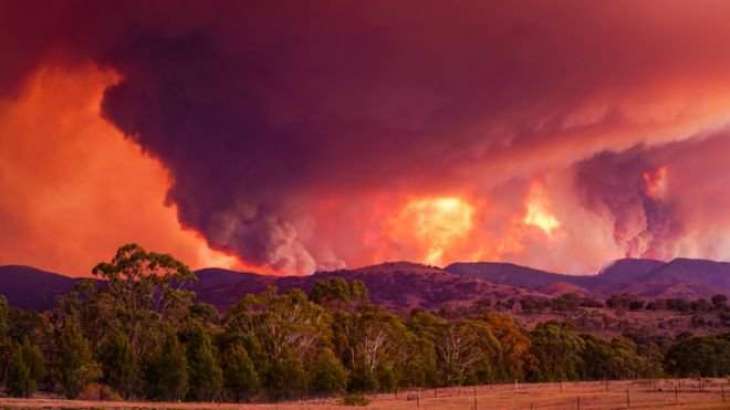 State of emergency declared for Canberra region in Australia