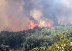 Corsica Wildfire Engulfs 4,000 Square Miles of Vegetation - Civil Protection