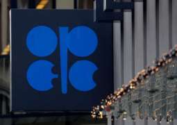OPEC+ Meetings May be Rescheduled Due to Coronavirus Outbreak - Russian Diplomat