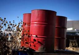 Libya's January Oil Revenue Dropped to Zero Due to Port Blockade - Central Bank