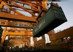 DP World to acquire majority stake in TIS container terminal in Ukraine's Yuzhny port