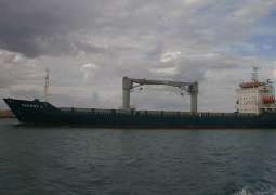 Pirates Attack Maersk Tema Container Ship Off Nigerian Coast - Logistics Company