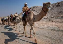 Hamdan bin Mohammed witnesses Camel Trek Marathon in Dubai