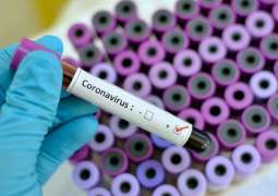 Malicious Fabrication More Dangerous than Coronavirus