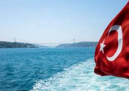 Turkey to Introduce Visa-Free Regime With 6 European States in March - Foreign Ministry