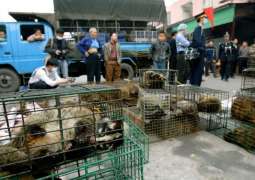 China bans trade, consumption of wild animals due to coronavirus